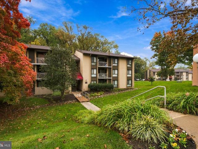 5903 Tamar Drive # 1 S13