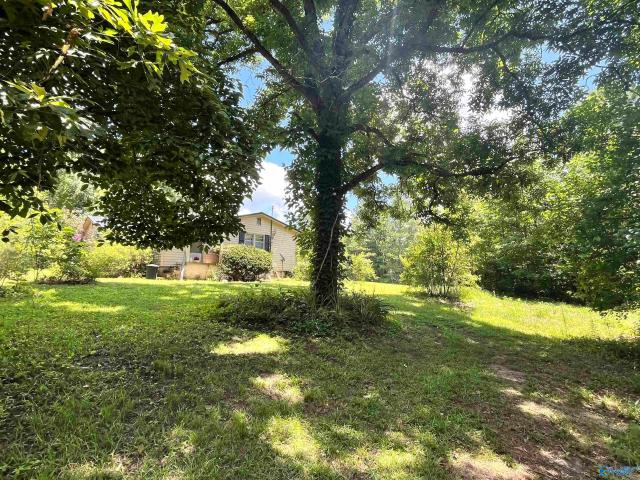 590 Blanton Road