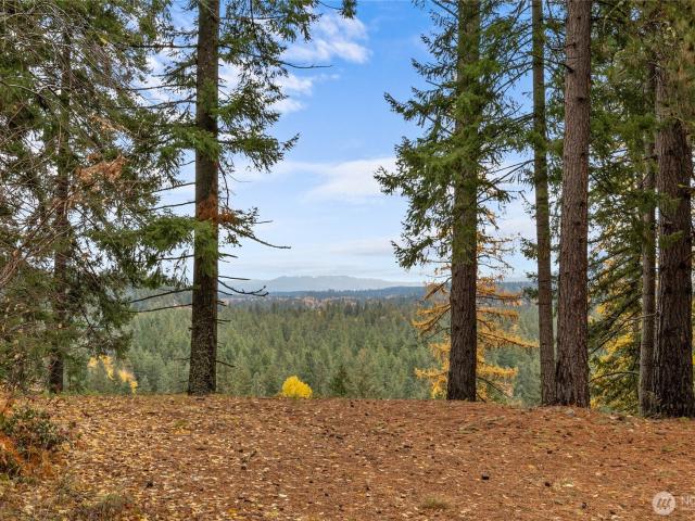 590 Oakmont Dr, Cle Elum, WA 98922 | MLS #2451