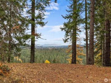 590 Oakmont Dr, Cle Elum, WA 98922 | MLS #2451