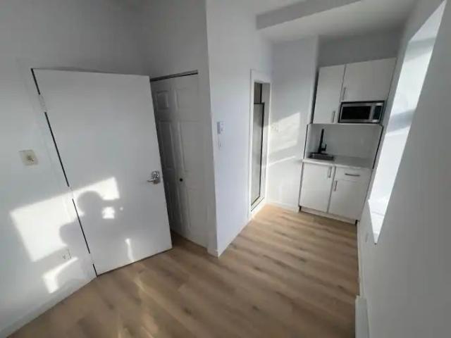 591 Ash and 2024 Wellington | 591 Avenue Ash, Montreal