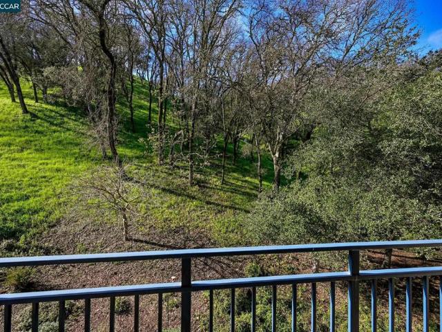 5920 Horsemans Canyon 1B