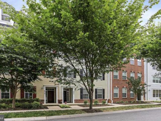 5921 1 Logans Way # 15