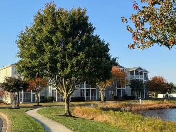 The Villages of Five Points, Sussex County, Delaware, Delaware, USA