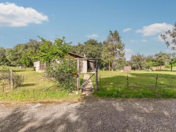 598 Sultana Ln, Angels Camp, CA 95222 | MLS #226048