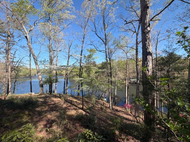 598 Pennington Lake