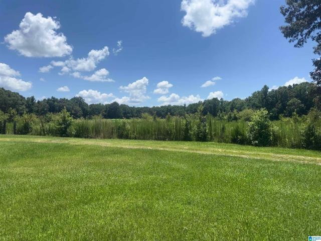 5998 County Road 36