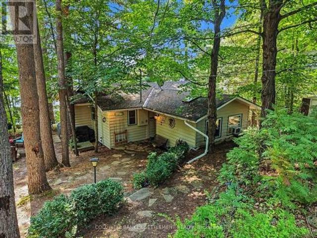 599 Black Lake Road, Tay Valley, ON, K7H 3C7 house for sale | Listing ID X13653 | Royal LePage