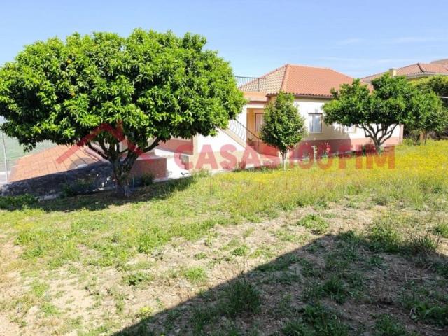 5 Moradias + Terreno em Loureiro Peso da Régua