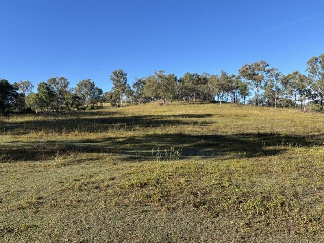 5 ACRE LOTS AVAILABLE, READY TO BUILD ON!