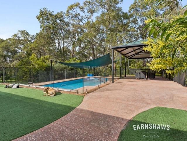 5 Acres of Fabulous Family Freedom