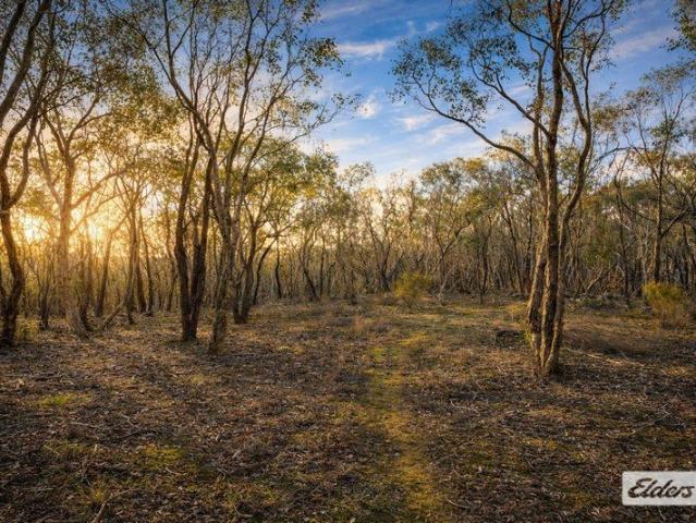 5 Acres Close to Strathfieldsaye