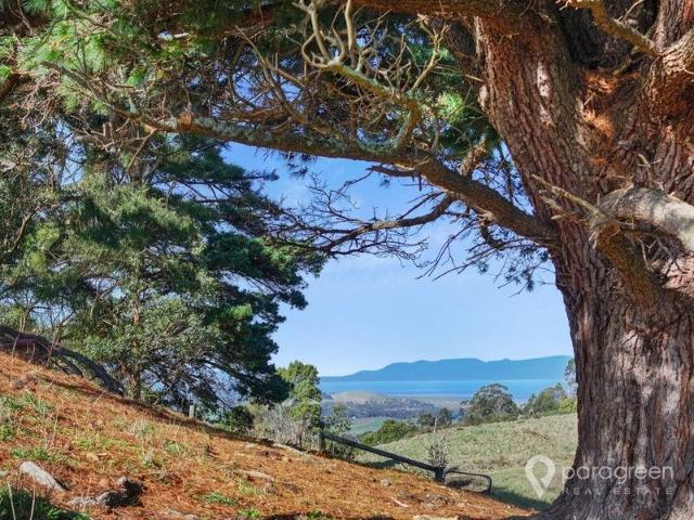 5 ACRES WITH AMAZING VIEWS