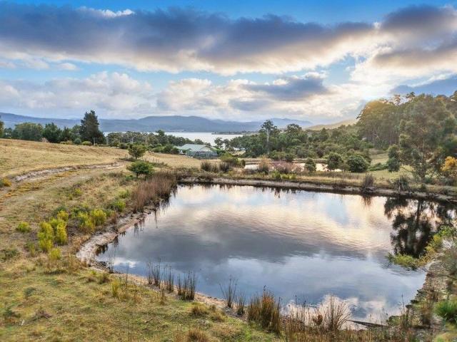 5+ Acres with Stunning Views
