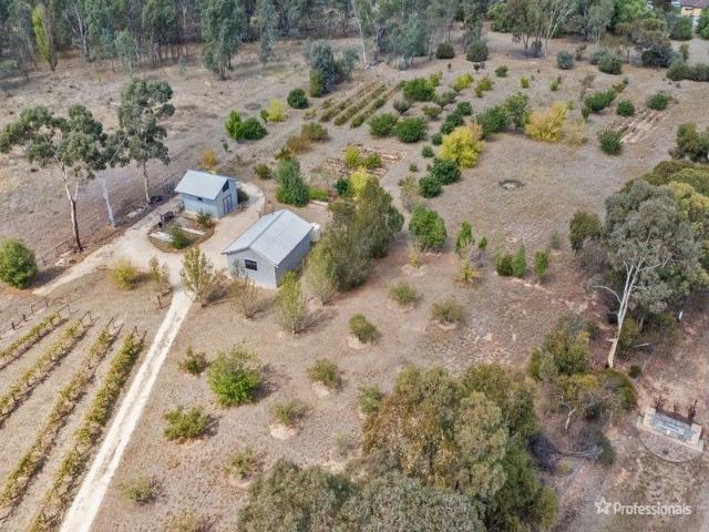 5 Acres with Vineyard & Fruit Orchards