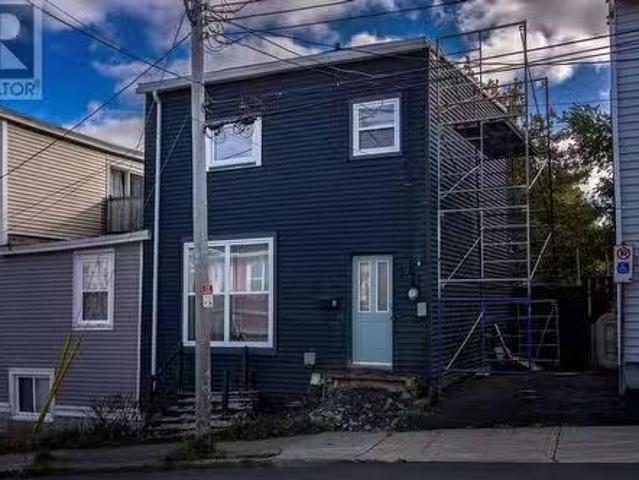 5 Balsam Street, St John'S, NL, A1C 4B6 house for sale List.