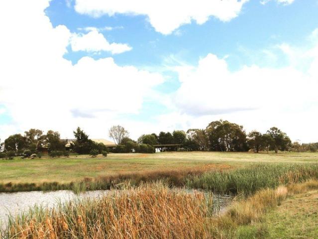 5 bed Country Homestead, 8.76 ha of Grassy Paddocks for Horses and Farm Animals with Quick Access onto the Federal Hwy into Canberra