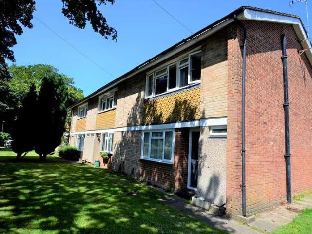 5 bed house to rent