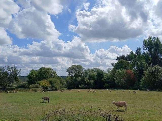 5 bed house for sale