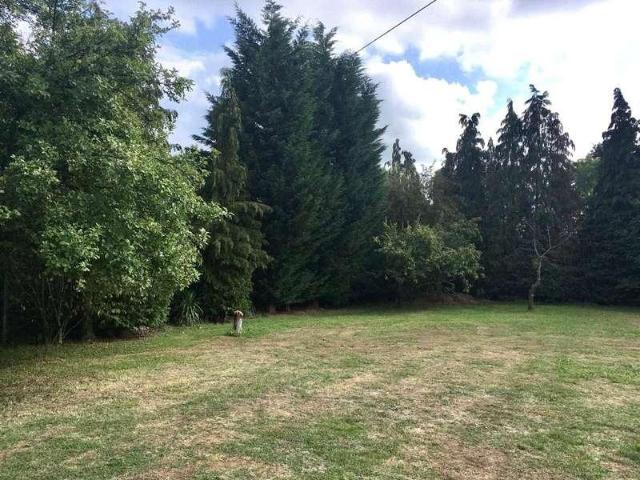 5 bed house for sale