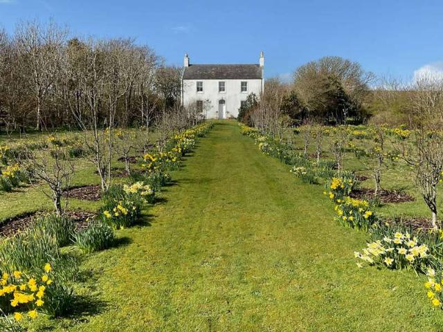 5 Bedroom Detached House