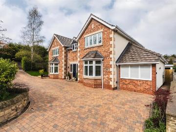 Sheffield, South Yorkshire, Midlands - Garden