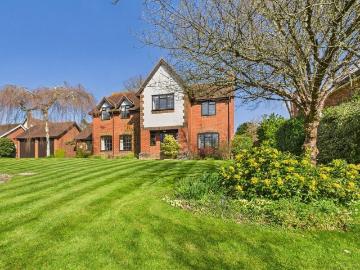 Arun, West Sussex county, Sussex - Garden