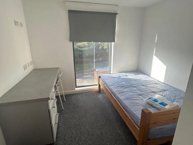 5 bedroom flat to rent