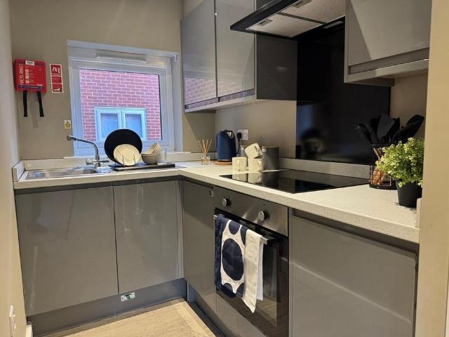 5 bedroom flat to rent