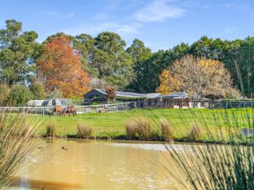 5 Bedroom House Avoca NSW 102270709