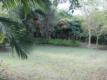 5 Bedroom House For Sale in Palm Beach