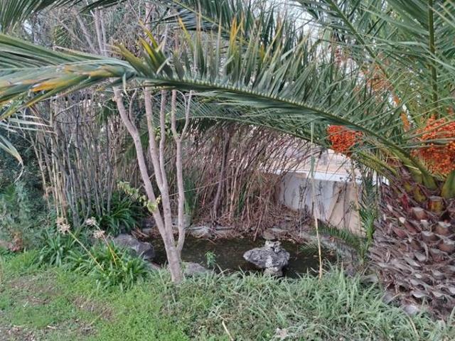 5 Bedroom House in Reivilo