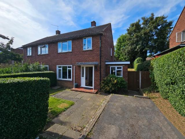 5 bedroom House share To Let
