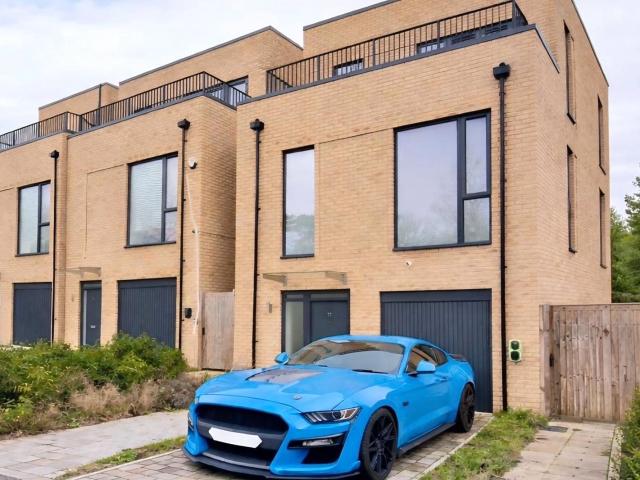 4 bedroom house to rent