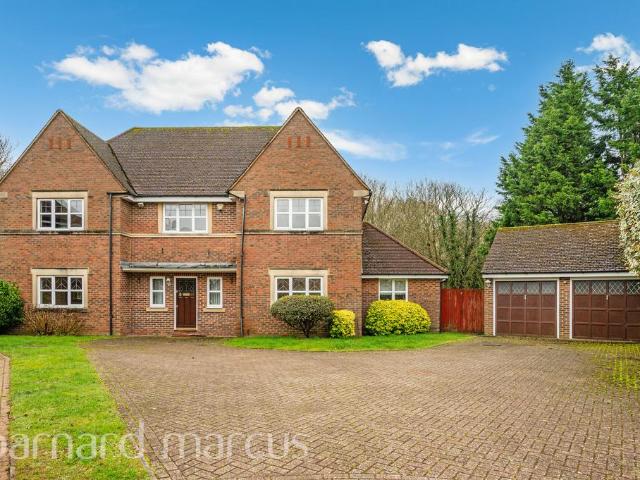 5 bedroom house to rent
