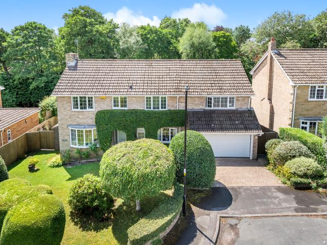 5 bedroom house to rent