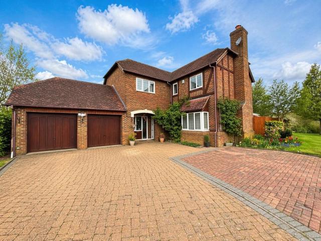 5 bedroom house to rent