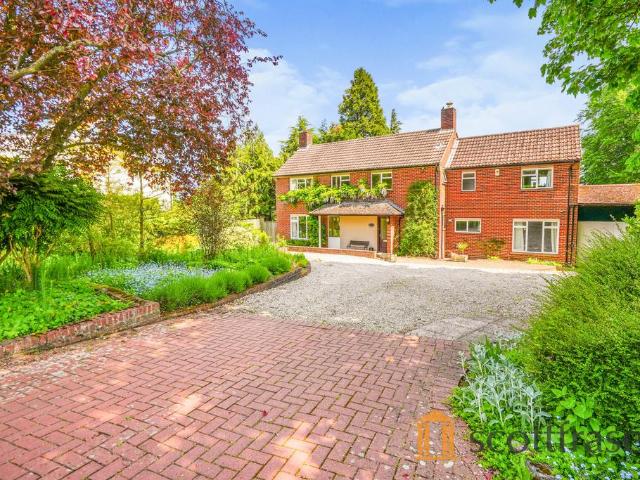 5 bedroom house to rent