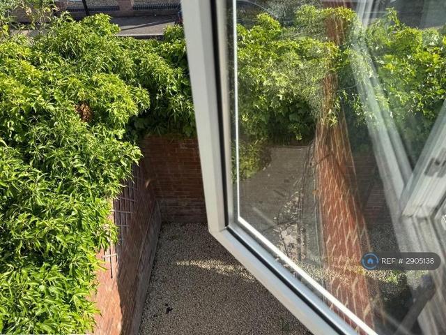 5 bedroom semi detached house to rent