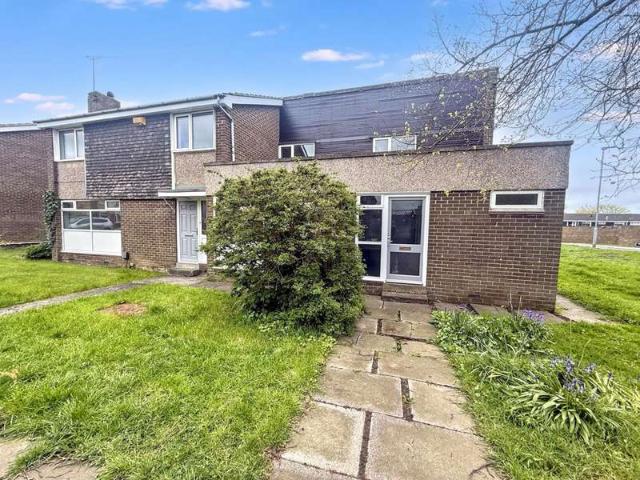 5 Bedroom Studio Flat