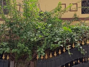5 BHK Villa in Velachery for rent Chennai. The reference number is 18790396