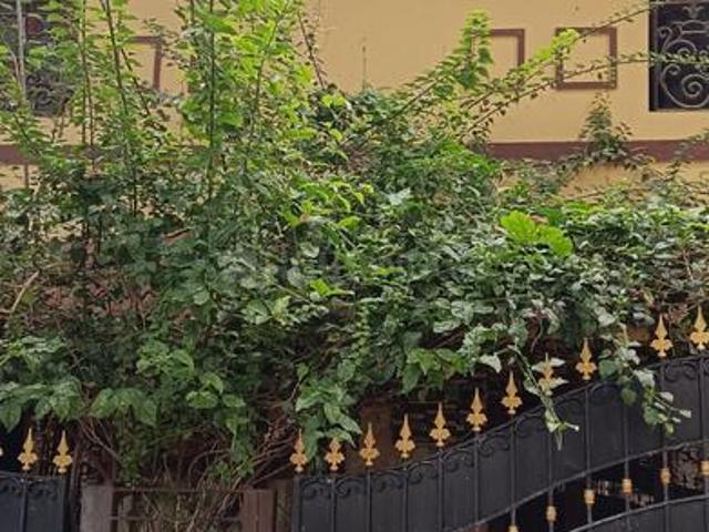 5 BHK Villa in Velachery for rent Chennai. The reference number is 18790396