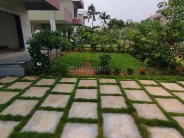 Kazhipattur, Kancheepuram District, Tamil Nadu