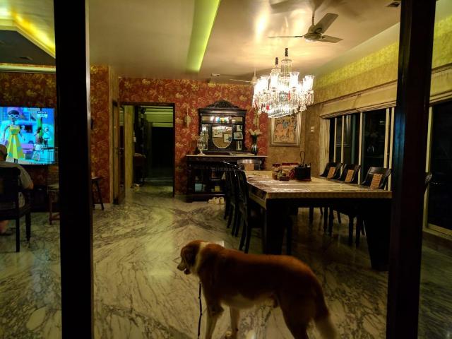5 BHK Apartment in Andheri West for rent Mumbai. The reference number is 19955919