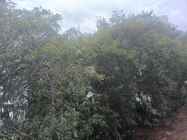 5 BHK Apartment in Konanakunte for resale Bengaluru. The reference number is 21320878