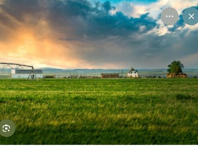 5 BHK Farm House in Bawadiya Kalan for resale Bhopal. The reference number is 21293509