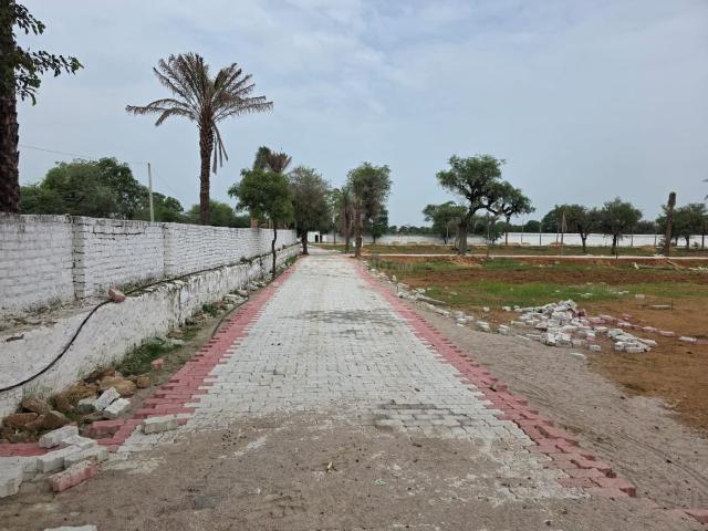 5 BHK Farm House in Kalwad Road for resale Jaipur. The reference number is 20988213