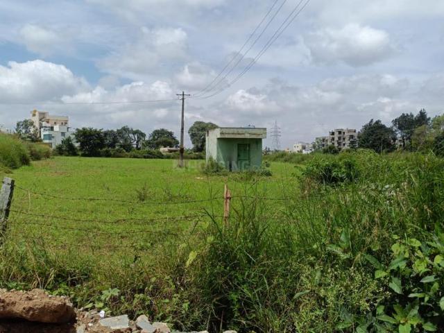 5 BHK Farm House in Kanakapura for resale Bengaluru. The reference number is 19169392