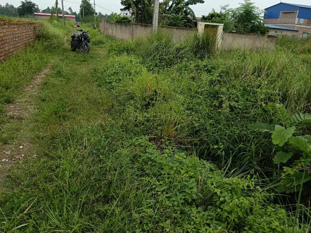 5 BHK Farm House in Khariberia for resale Kolkata. The reference number is 20451496