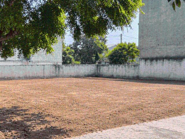 5 BHK Farm House in Khera Dhrampura for rent Greater Noida. The reference number is 21343815